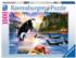 Close Encounters Dolphin Jigsaw Puzzle