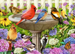 At the Birdbath Birds