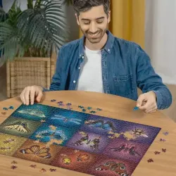 Winged Things Butterflies and Insects