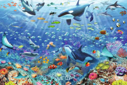 Colorful Underwater World Sea Life