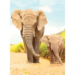 Elephants dans les steppes Elephant