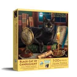 Black Cat by Candlelight Cats