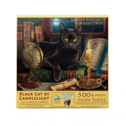 Black Cat by Candlelight Cats