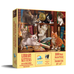 Library Kittens Cats