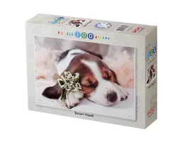 Basset Hound Dogs
