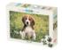 Little Angel Dogs Jigsaw Puzzle