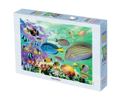 Tropical Marine Fish