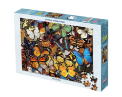 Flying Colors Butterflies and Insects