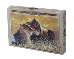 Lions in The Sun Jungle Animals