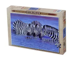 Zebras in The Water Jungle Animals