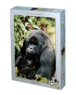 Gorilla Jungle Animals