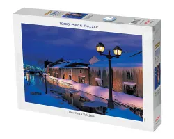 Otaro Canal at Night, Japan Asia