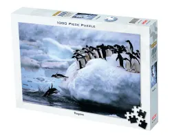 Penguins Birds