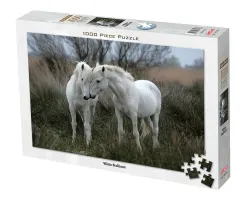 White Stallions Horse