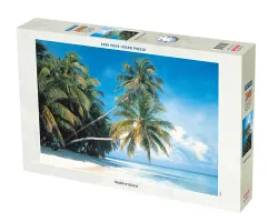 Maldive Island Beach & Ocean