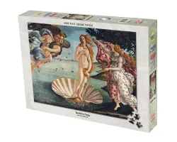The Birth of Venus Fine Art