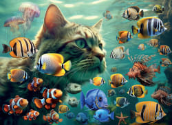 Cat Window Shopping Cats