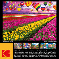 Sunset Balloons Over Tulip Field Flower & Garden