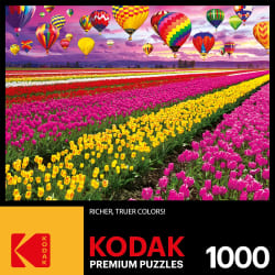 Sunset Balloons Over Tulip Field Flower & Garden