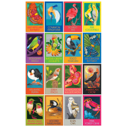 Birds Butterflies & A Crab Box Set 16X100Pc Birds