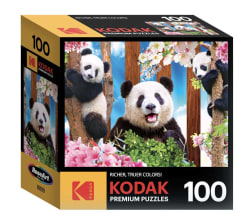 Panda Playtime Animals