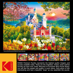 Famous Neuschwanstein Medieval Castle Germany Castle