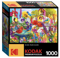 Bird Bath Garden Birds