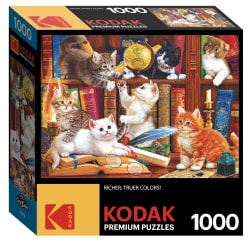 Library Mischief Cats