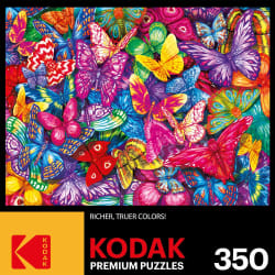 Colorful Butterflies Butterflies and Insects