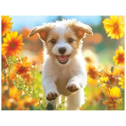 Snack Size - I Love Dogs Dogs