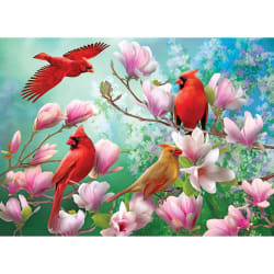 Pc 500Pc 4In1 - Songbird (New Box) Birds
