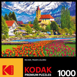 Brienz Town Flowers, Switzerland Flower & Garden