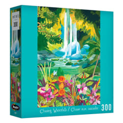 Chasing Waterfalls Waterfall