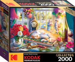 Puzzle Time Cats