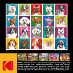 20 Dogs - Scratch and Dent Animals