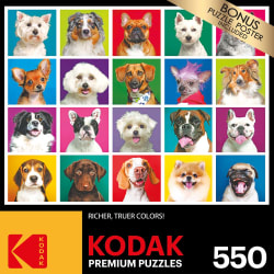 20 Dogs - Scratch and Dent Animals