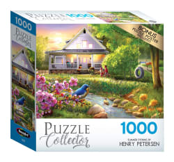 Summer Evening Birds