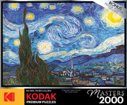 The Starry Night by Vincent van Gogh Fine Art