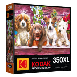 Puppies On A Shelf Dogs