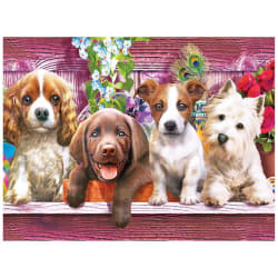 Puppies On A Shelf Dogs