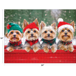 Yorkie Holidays Dogs