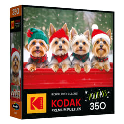 Yorkie Holidays Dogs