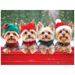 Yorkie Holidays Dogs