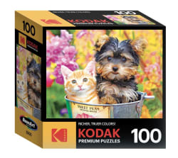 Bucket Buddies Animals