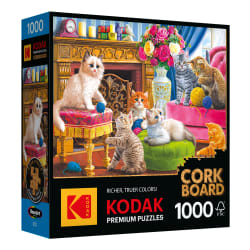Kodak Cork - Kittens By The Fireplace Cats