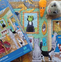 Night at the Meowseum Animals