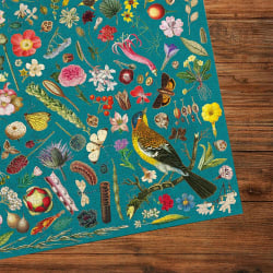 RHS Floral Fantasy  Flower & Garden