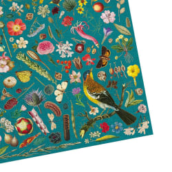 RHS Floral Fantasy  Flower & Garden