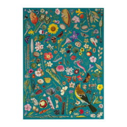 RHS Floral Fantasy  Flower & Garden