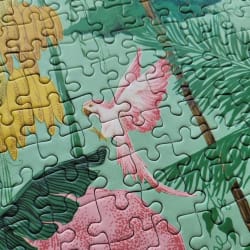 Jungle Animals Animals